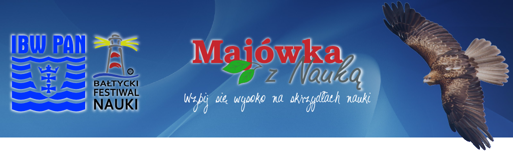 majowka Project